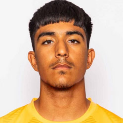 アラン・ゴメス