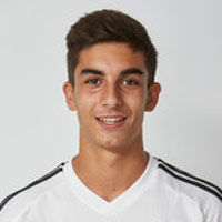 フェラン・トーレス