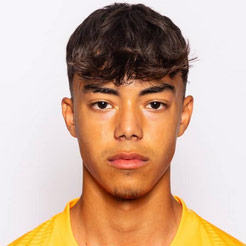 ファンダ・テラデス